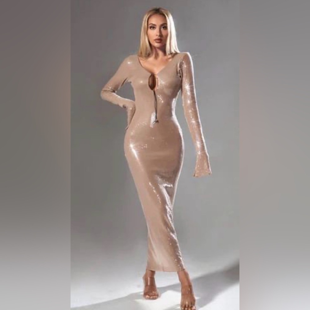 Mew Mews Long Sleeve Sequin Dress in Tan